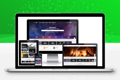  Ripro V5日主题 v8.3 开心授权版 wordpress主题虚拟资源下载站首选主题模板