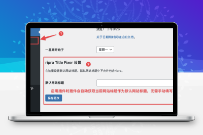 RiPro主题RiPro-V5解决被篡改网站标题方法