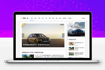 主题巴巴主题源码 合辑打包下载+主题巴巴SEO插件 | WordPress主题模版
